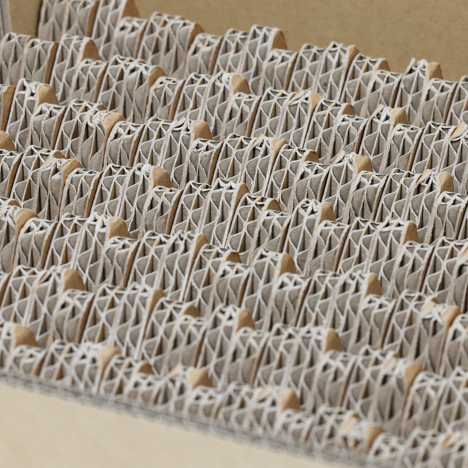 HACODAYS 健康 足ツボマッサージ