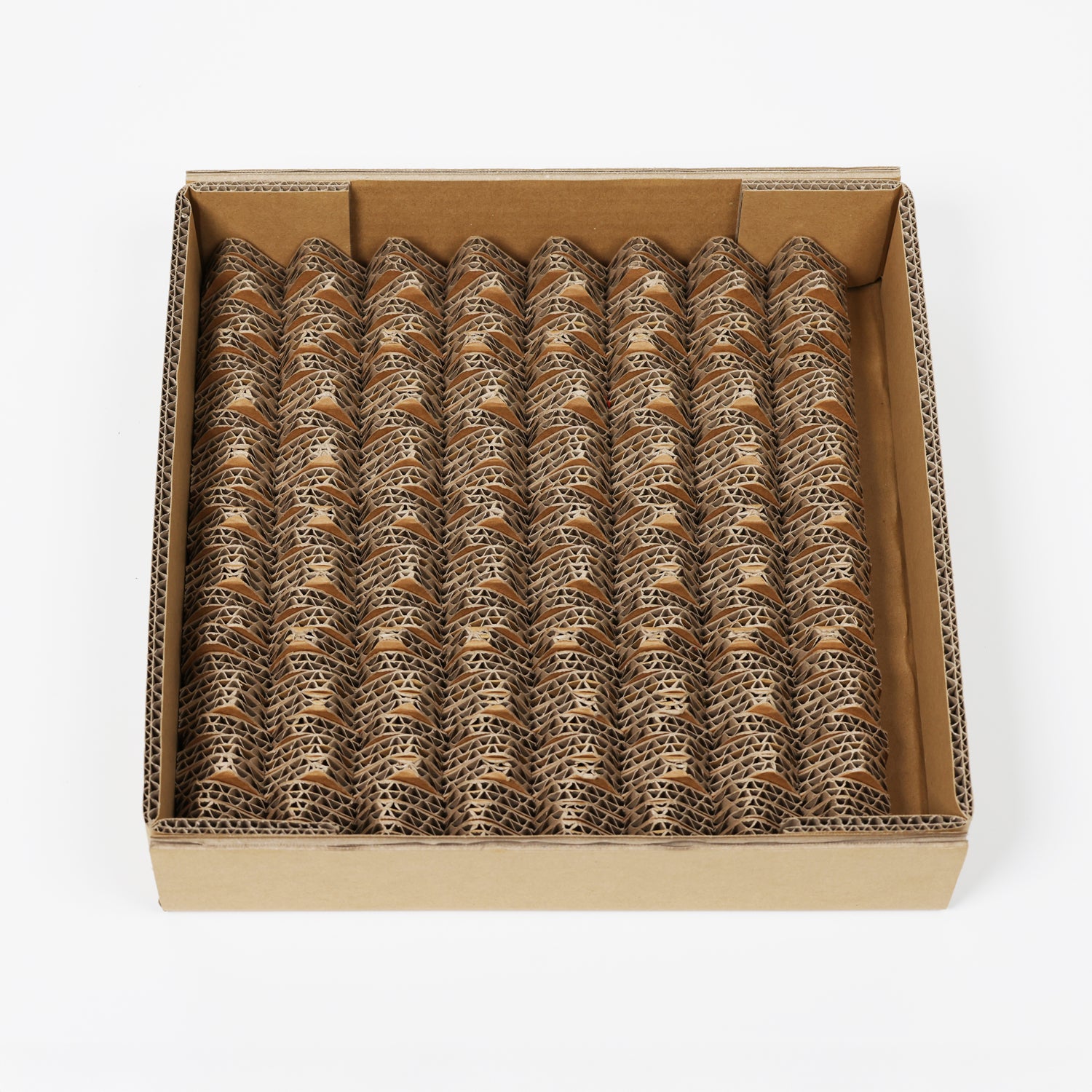 HACODAYS 健康 足ツボマッサージ